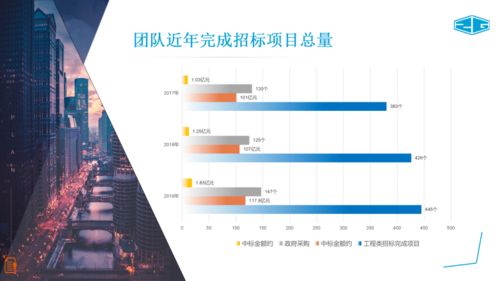 中冠咨詢 專業(yè)招標(biāo)代理與政府采購(gòu)服務(wù)，及信息技術(shù)咨詢解決方案