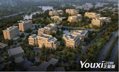 江城競速，創意飛揚 武漢數字文化創意軟件開發的崛起與未來